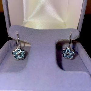 Blue Drop Flower Earrings